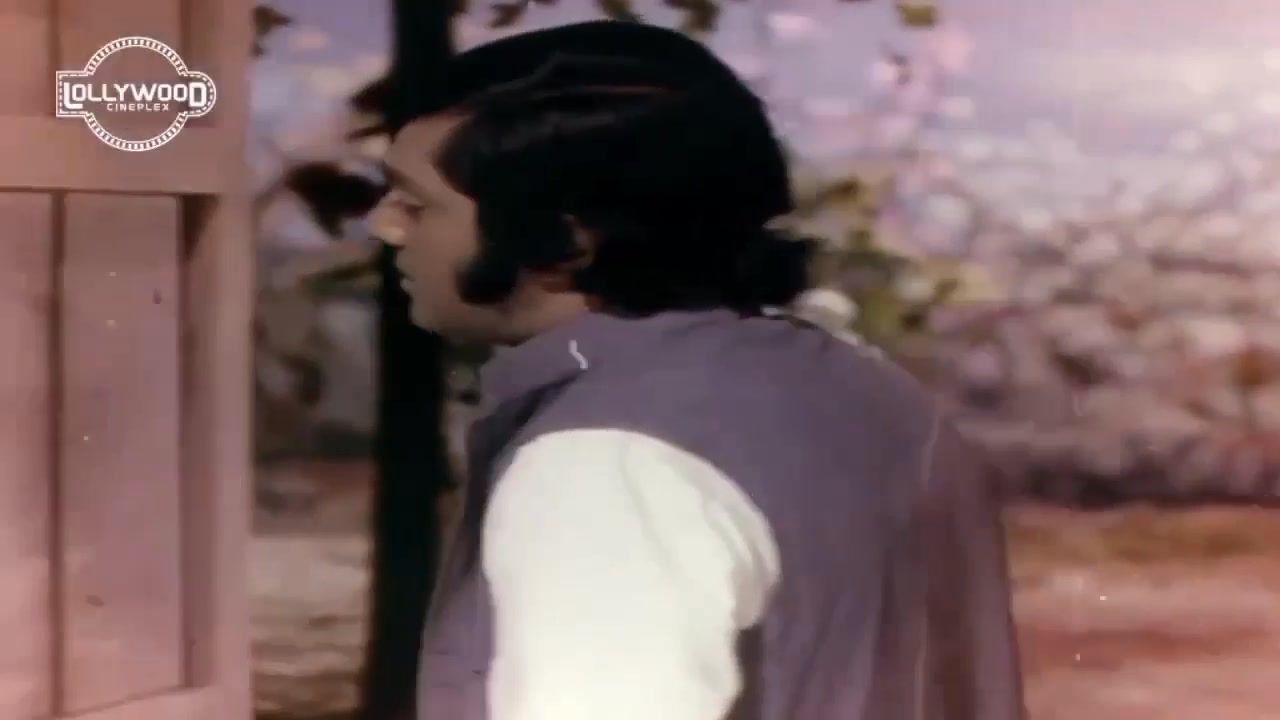 Film.. Surayya Bhopali.. 1976 Singer.. Mehdi Hassan Screen.. Waheed ...