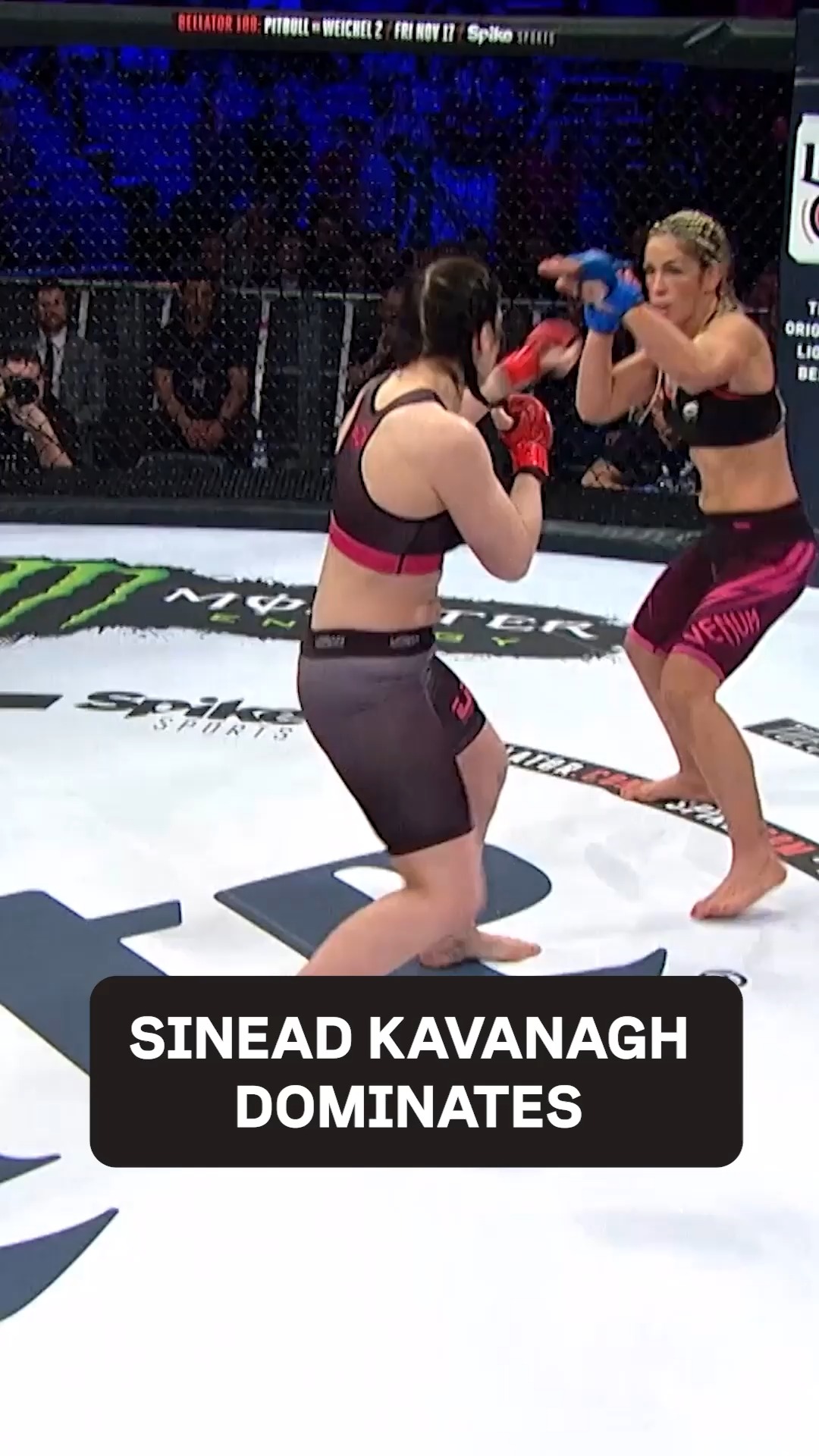 Bellator MMA (@BellatorMMA) • Facebook