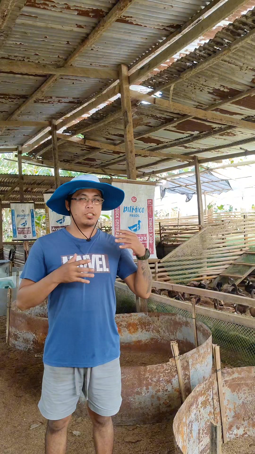 May income ba sa itik na naka poultry? Bakit my nalugi at merong nag ...