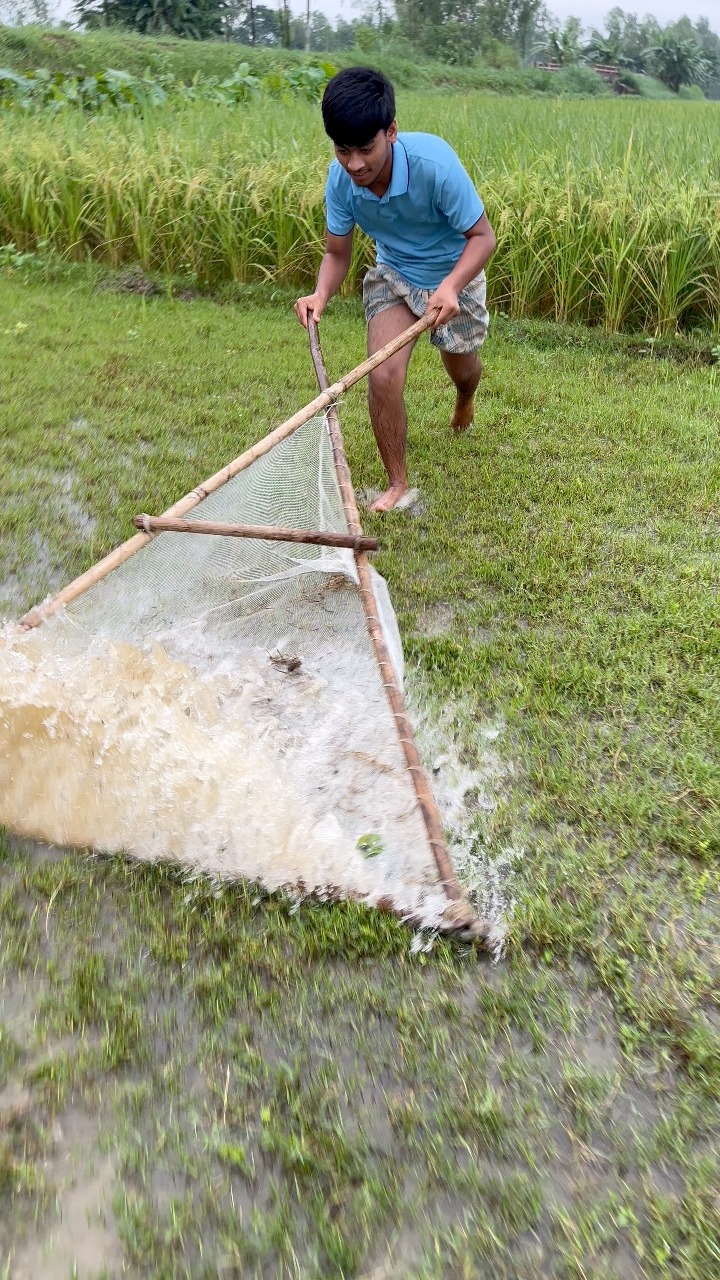 Catching Fish with Push Net #shorts #embfishing | EMB Fishing | Facebook