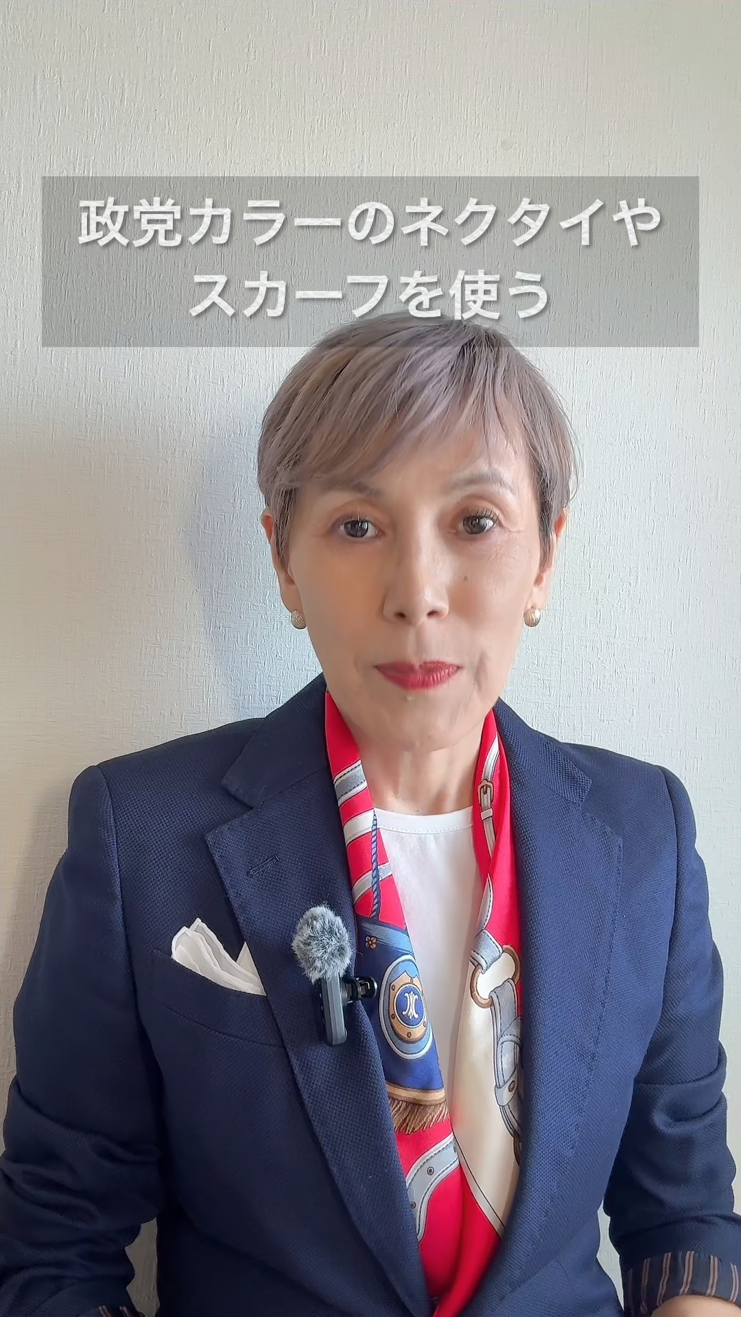 政党 カラー