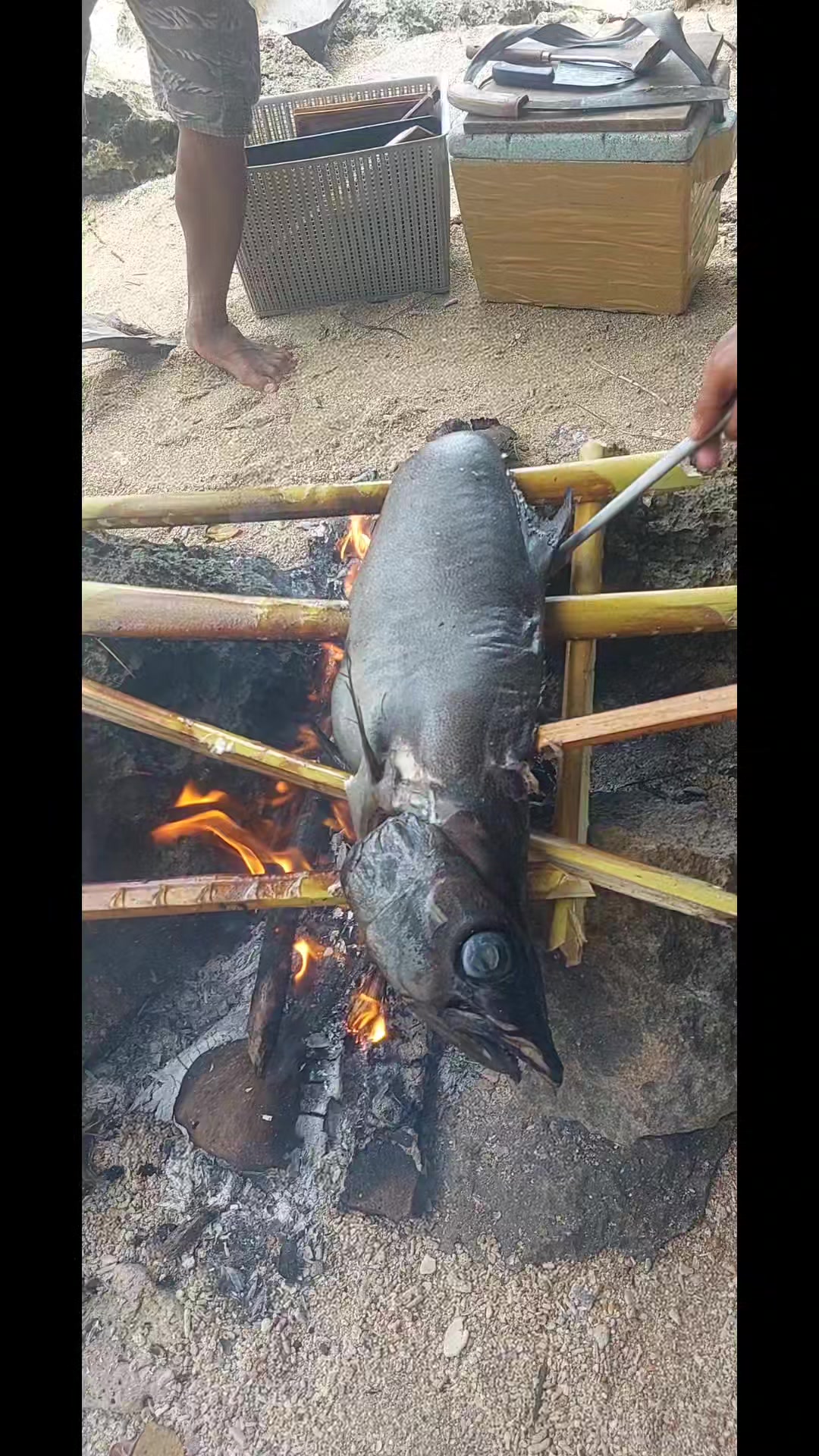 Samaral at emperor fish #fbreels2025 #fbreelsvideo #freshfish # ...