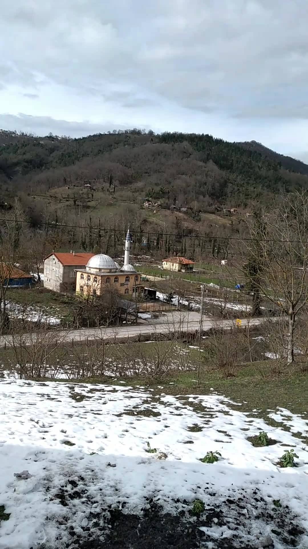 ayancik guncel ayancik tevfikiye koyu