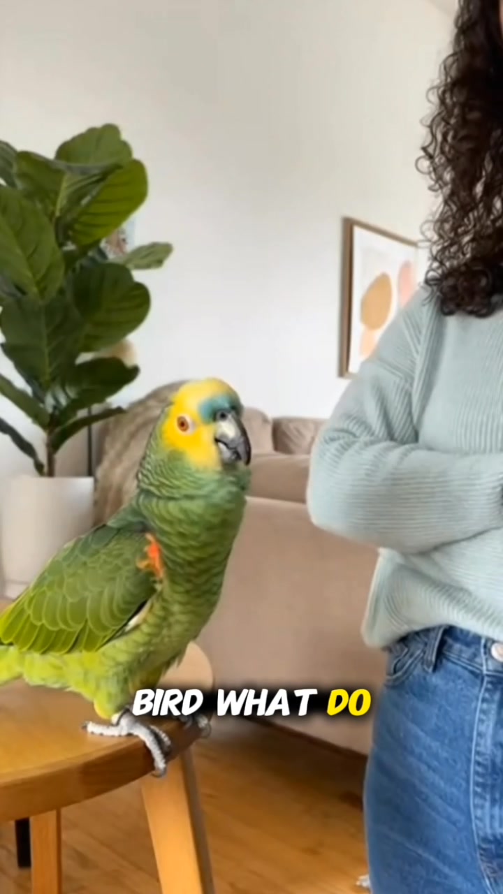 Rent is due… and your tenant pulls out bird law 😭🦜 He says he pays in ...
