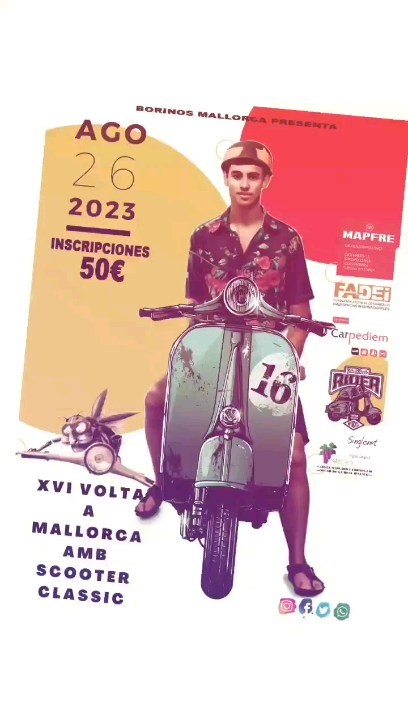 Borinos Mallorca | Inca
