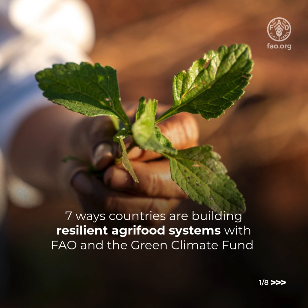 Transitioning towards low-emission, climate-resilient agrifood systems ...