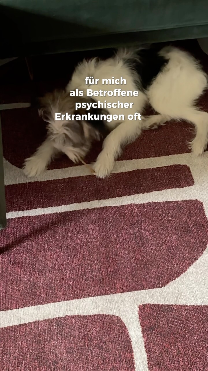Anzeige