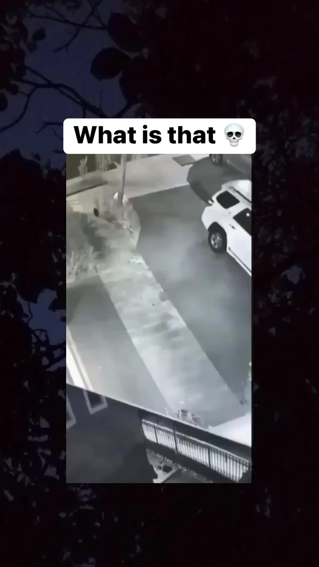Scary Posts