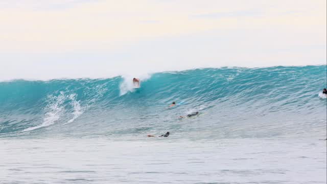 Little rundown on a 6'6” swallow if you got time to sit through it