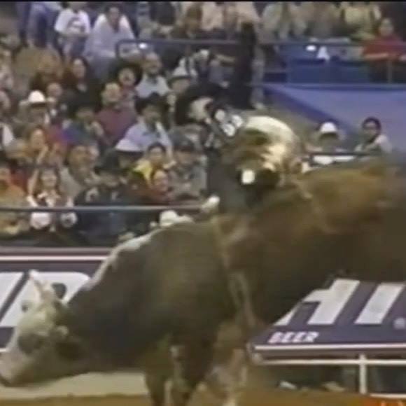 Justin McBride rides Hollywood. Watch how Justin tracks Hollywood. He ...