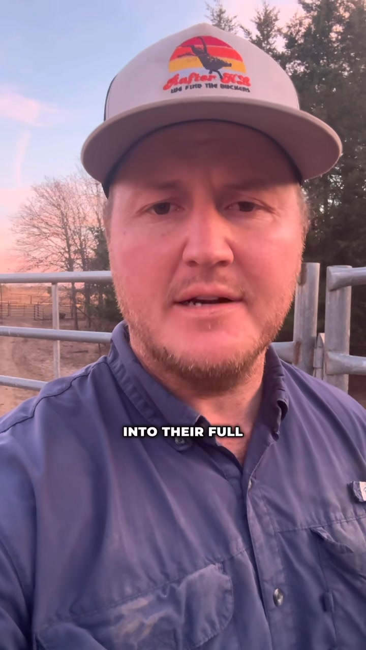 Think of the Bucking Bull Draft like the NFL Draft, except YOU get to ...
