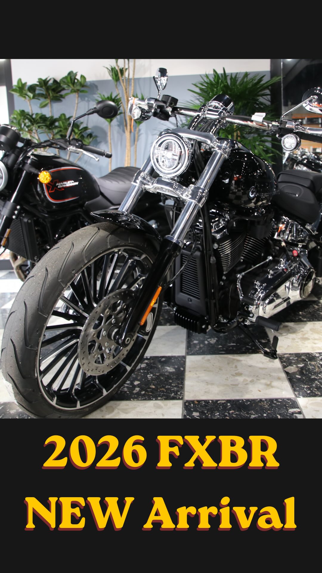 2026年モデル 【FXBR】 ブレイクアウト 入荷しました