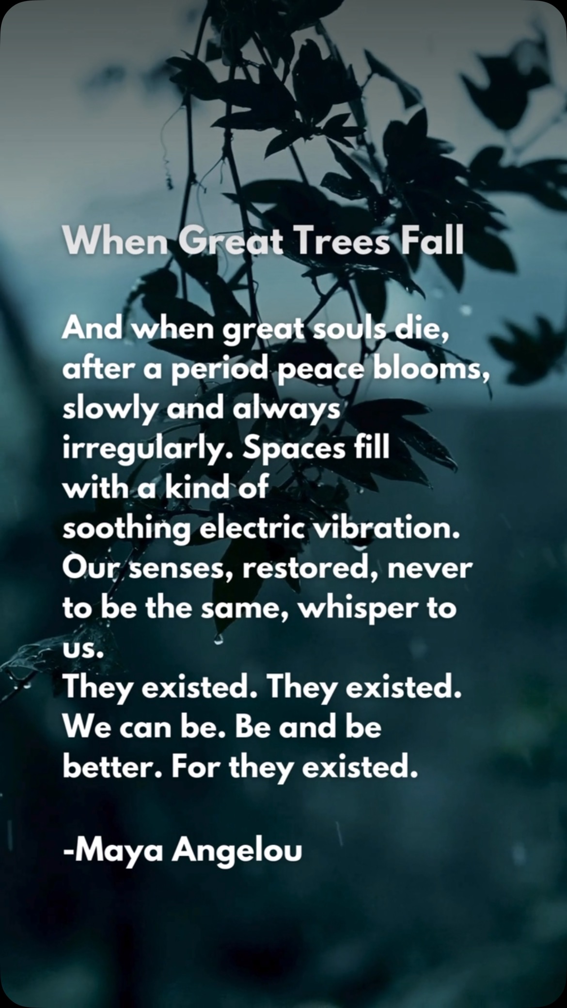 Maya Angelou's thoughtful writing.
