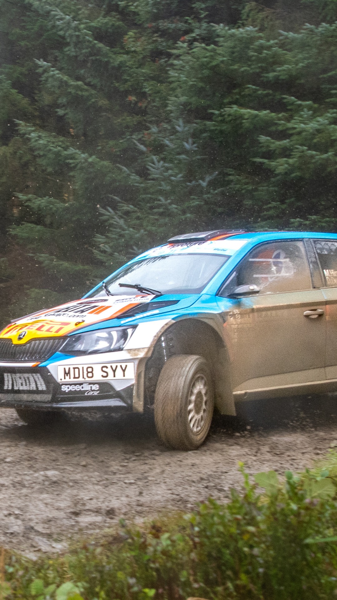 ↪️ Insert bring back wales rally gb caption here ↩️ Snippet from the ...