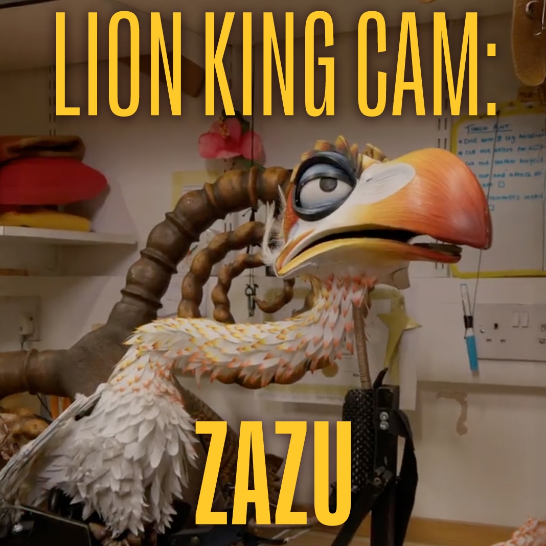 Ever wondered how Zazu takes flight? Watch as Joseph Beagley, Head of ...