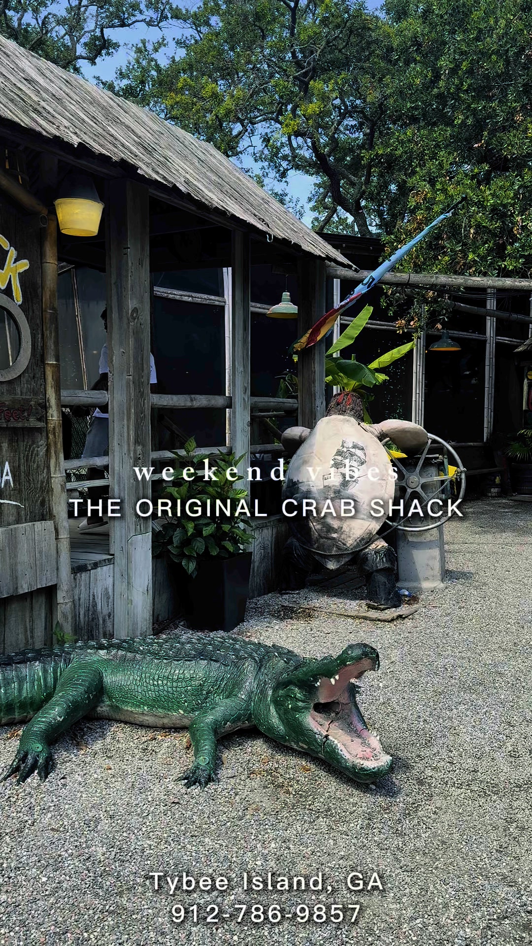 “POV: Your weekend plans just got a serious upgrade.🐊🍹🦀”📍 The Original ...