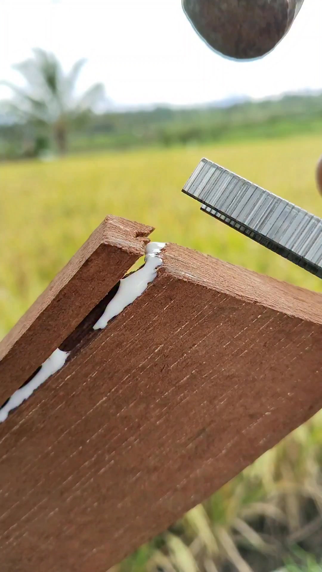 Genius Hack! How to Fix Cracked Wood Using Only Staples and a Hammer 🔨 ...