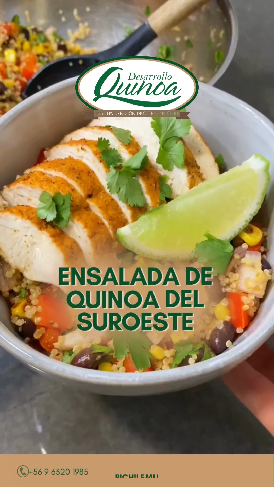 Desarrollo Quinoa