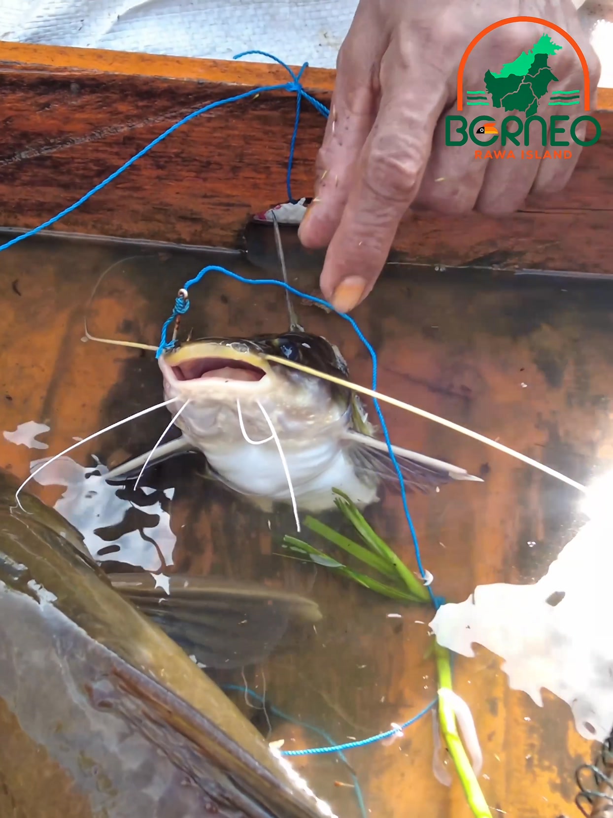 Membuat rumah rakit di sungai besar serta bermalam dan mencari ikan di ...