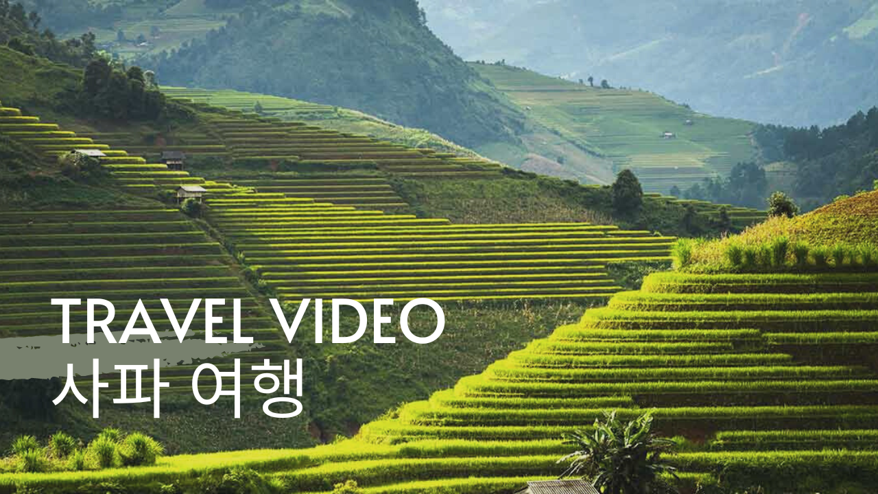🌳🌳 사파 여행 - 베트남에서 가장 아름다운 관광지 중 하나. 우리는 특별한 문화와 아름다운경치를 발견해 봅시다 ⭐️⭐️신뢰는 ...