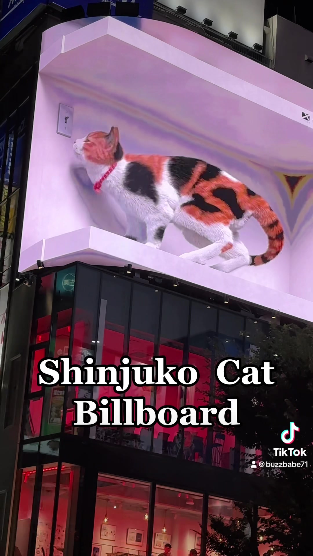 Giant 3D LED billboard in Tokyo intersection