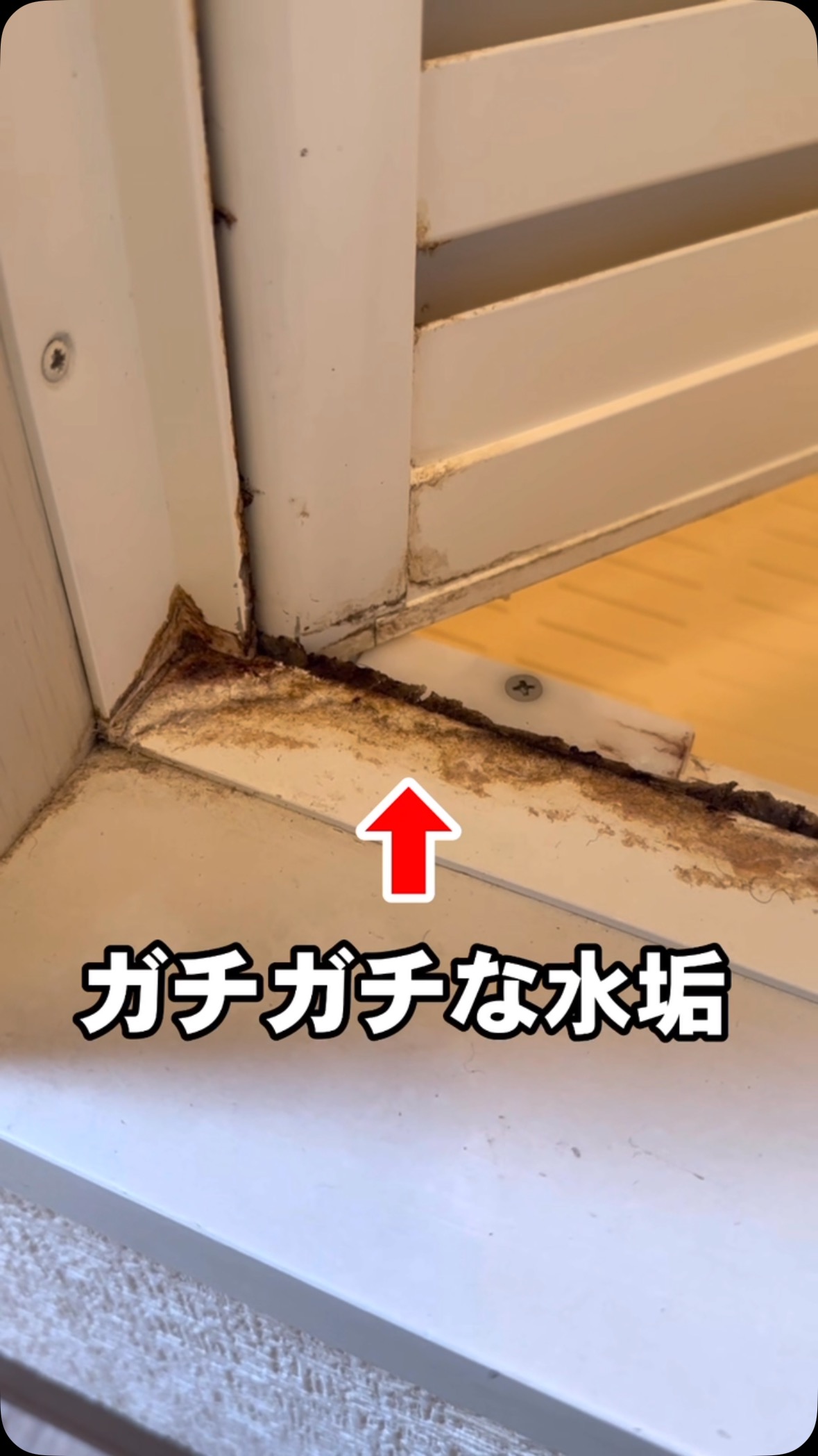 【風呂掃除】ドアについた頑固な水垢を落とす #カリカリ落とし #クエン酸 #水垢 #ドア #お掃除の錫村商店 #YouTube | プロが ...