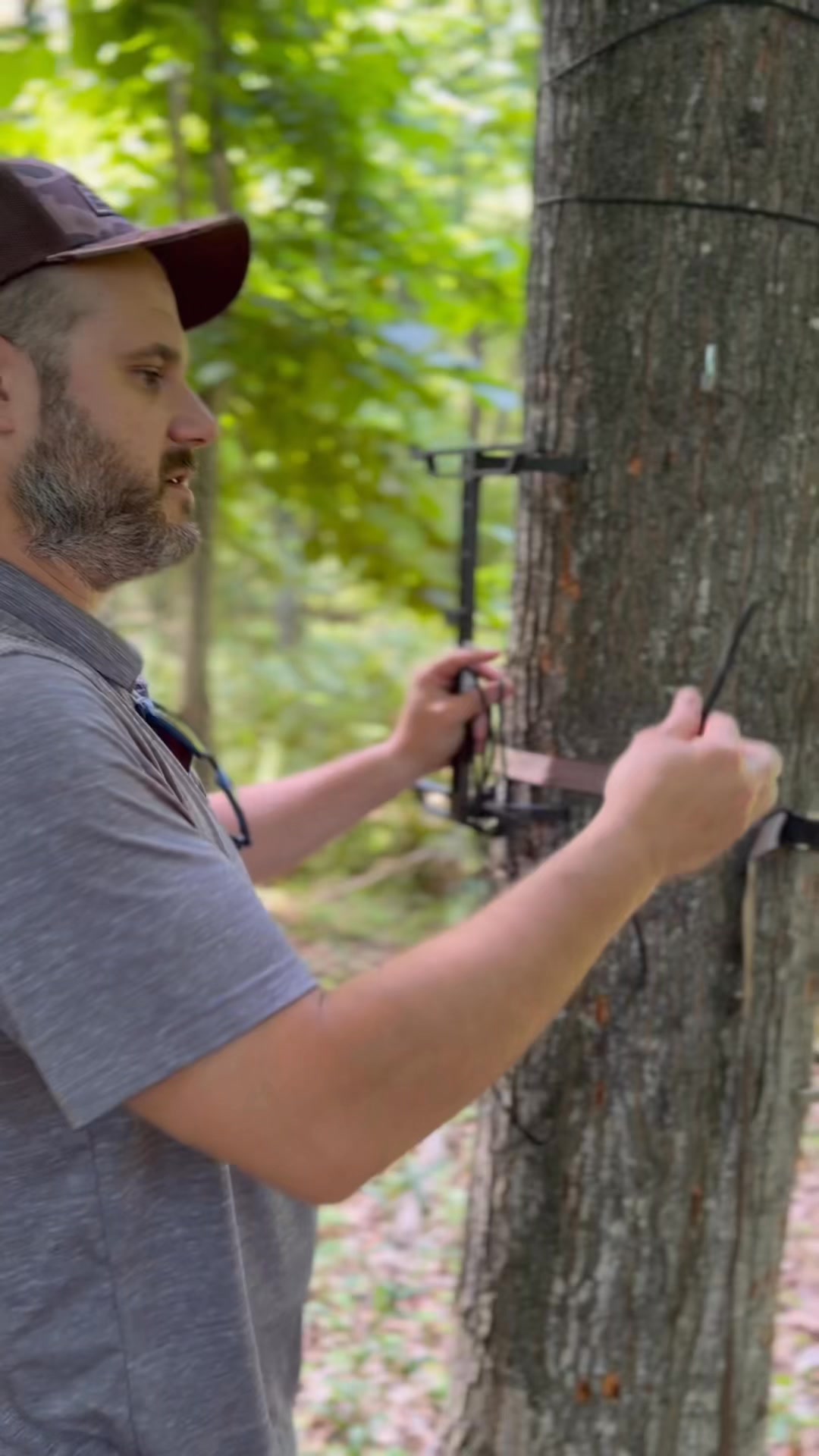 New Hydro stick from XOP #hunting #archery | BowHunterPlanet.com | Facebook