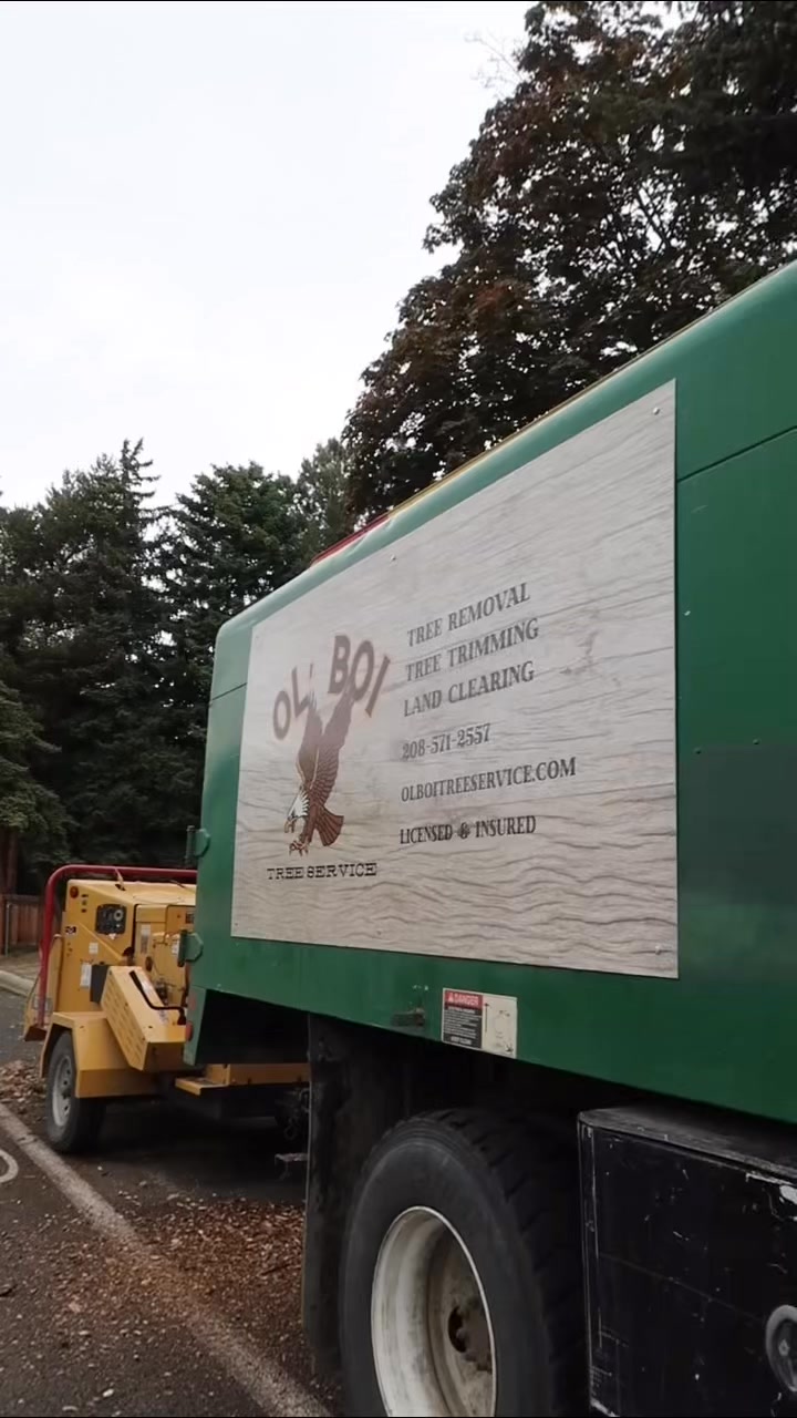 OL' BOI Tree Service | Boise ID