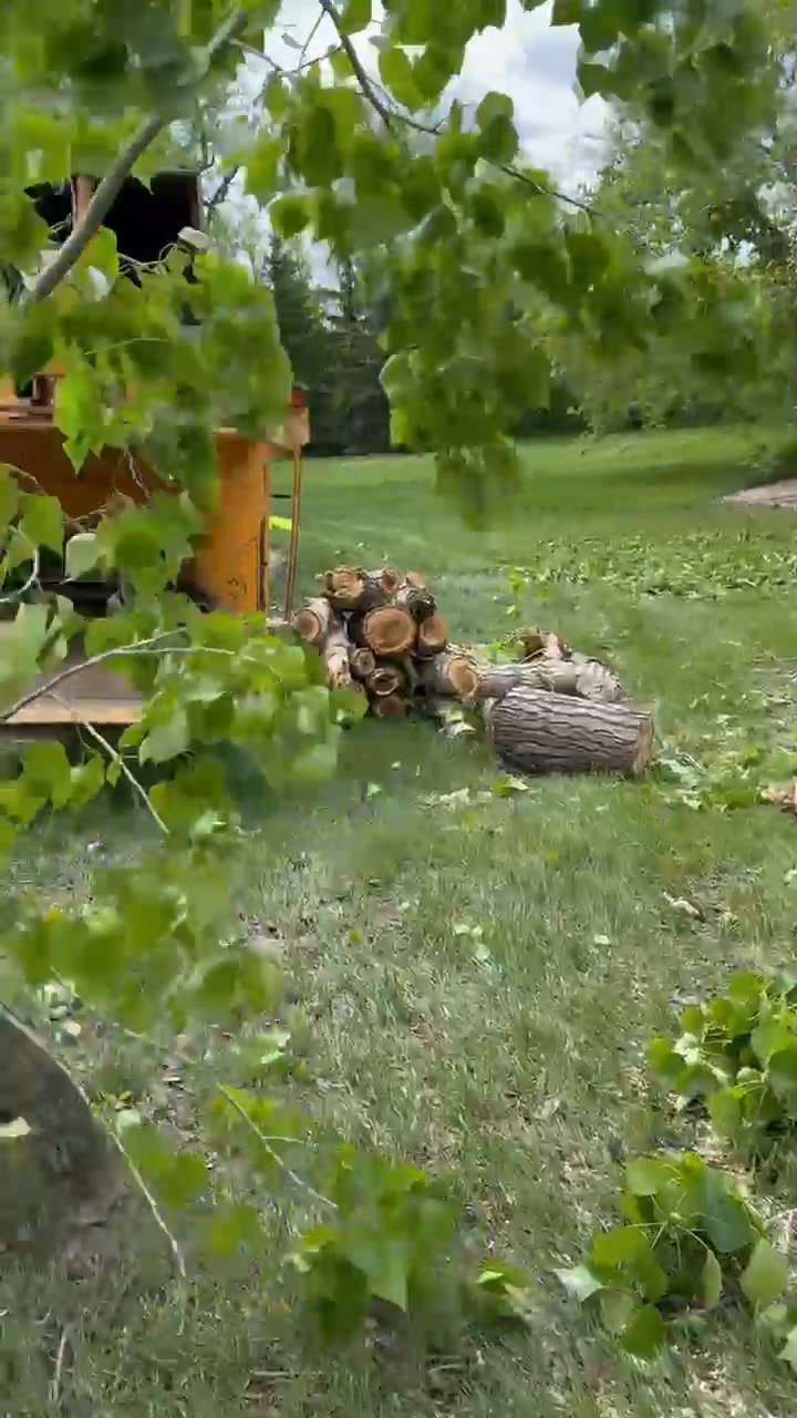 Al's Tree Service