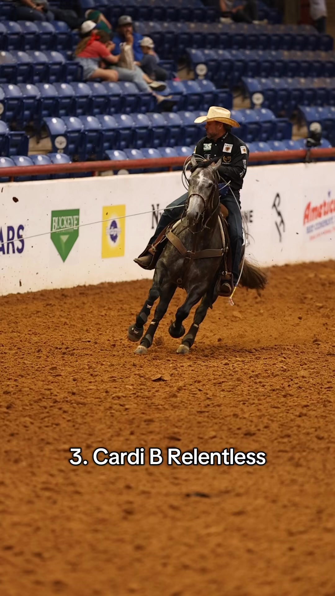 The Relentless Remuda swept the 4-&-Under Heading at the ARHFA Cowtown ...
