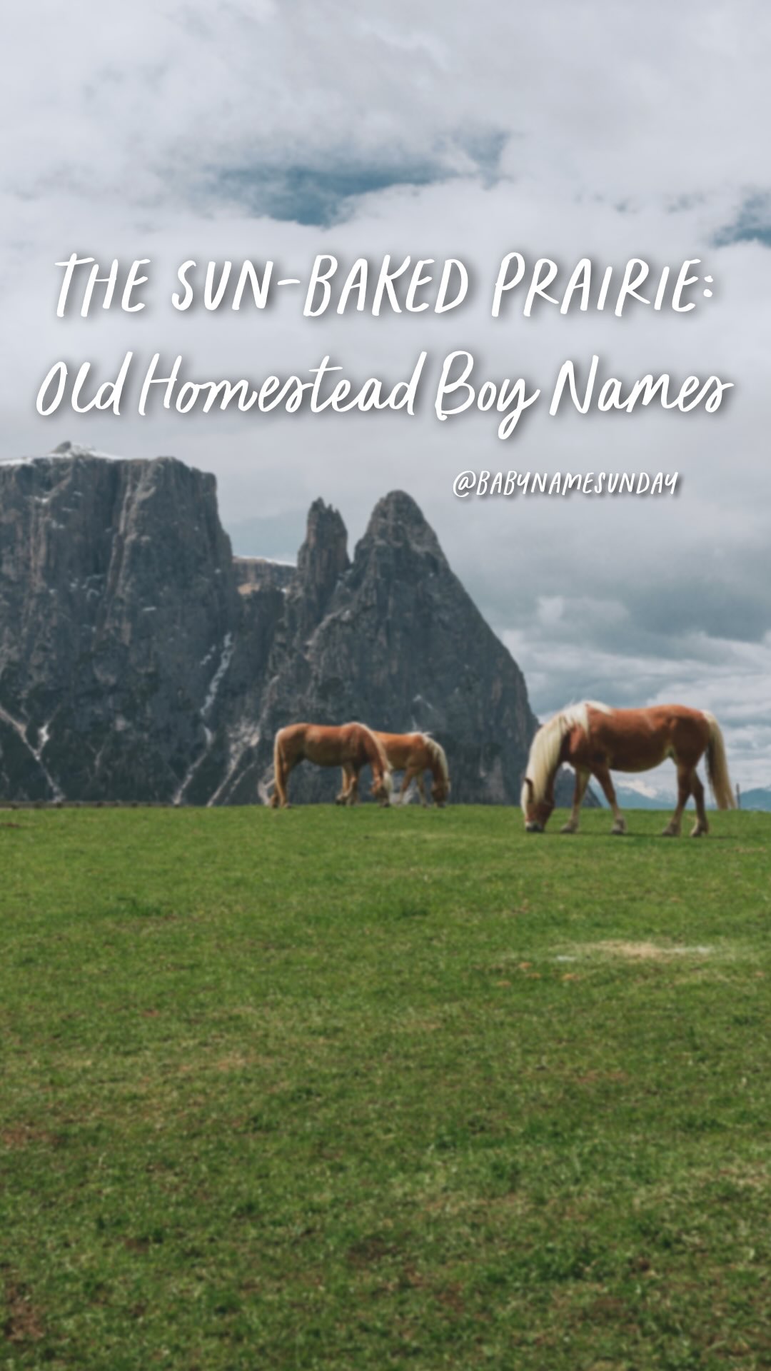 The sun-baked prairie: old homestead boy names 🌾🌞🪵🏡🌻 #babynames # ...