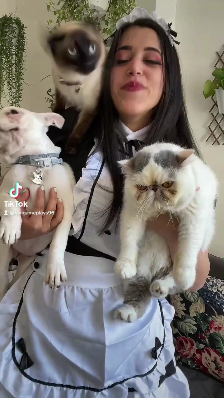 Vivi Tarantino
