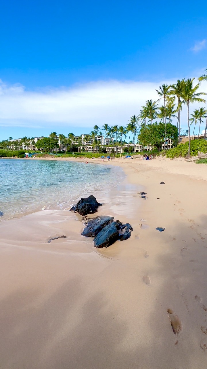 Maluaka Beach 🏖️ Maui, Hawaii 🌺 • • • #aloha #tropical #paradise # ...