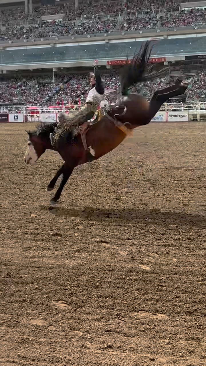 94 on my friend disco party of @calgarystampede to take the win! One of ...