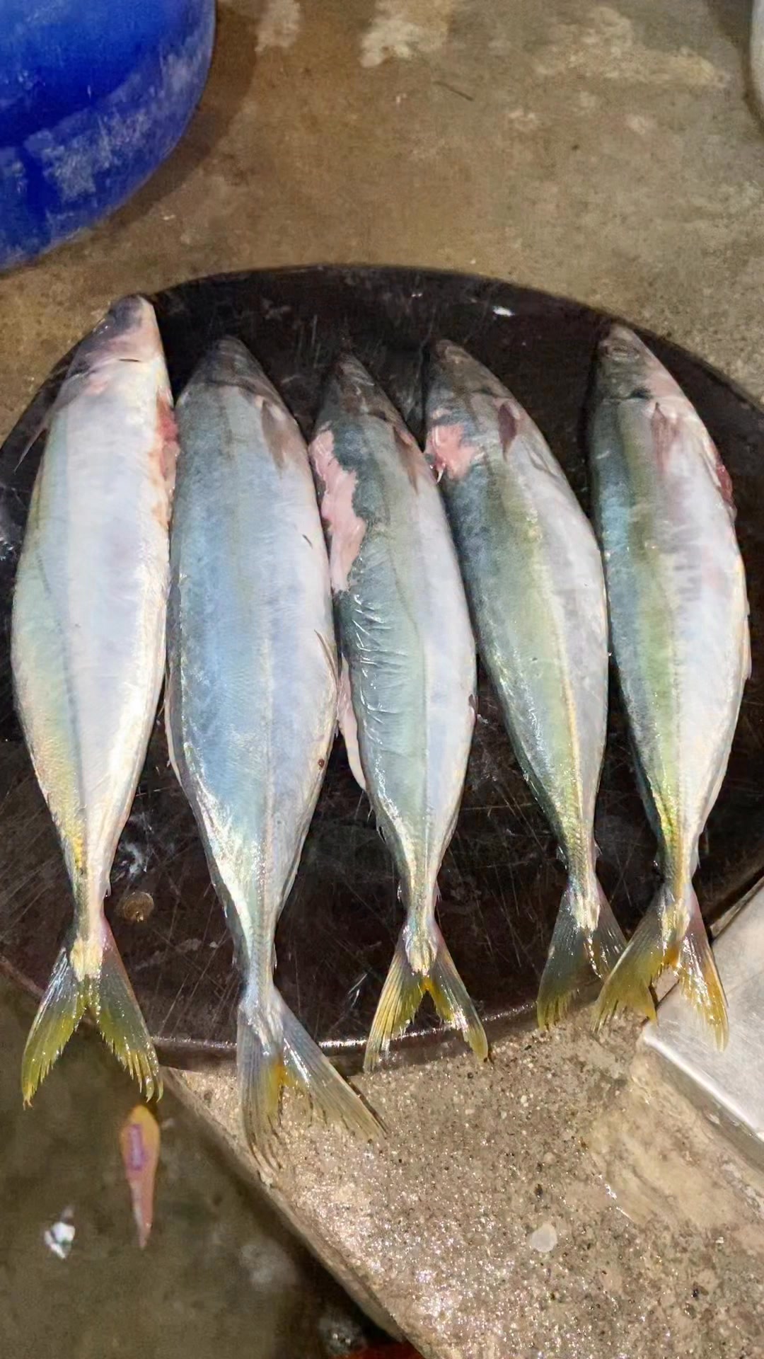 Sud-anon sa Panihapon 😋👌 #isda | Jenifer Evangelista Razon | Facebook