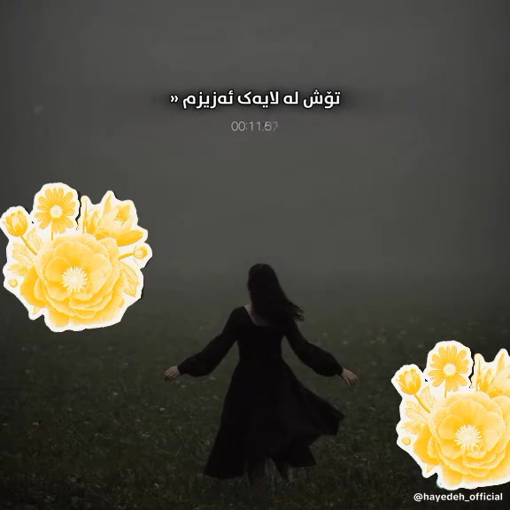 شوان میرە_shwan mera on Reels | Facebook