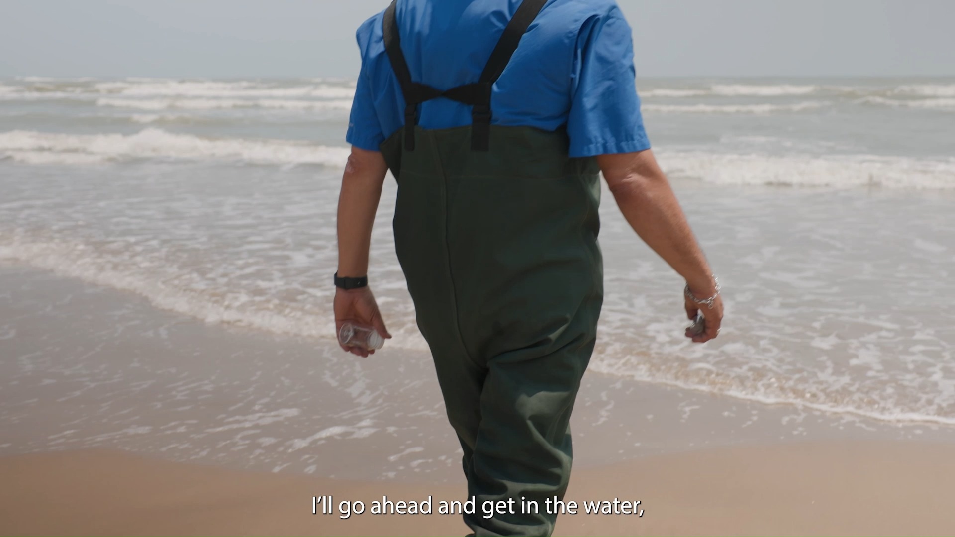 How exactly does Texas Beach Watch monitor water quality along the 