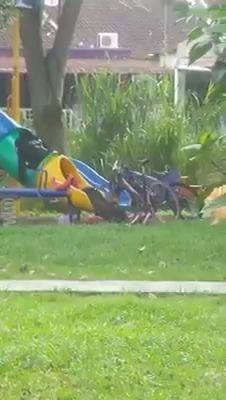Perakam Dikecam Biarkan Remaja 'Henjut' Atas Gelongsor Di Taman ...