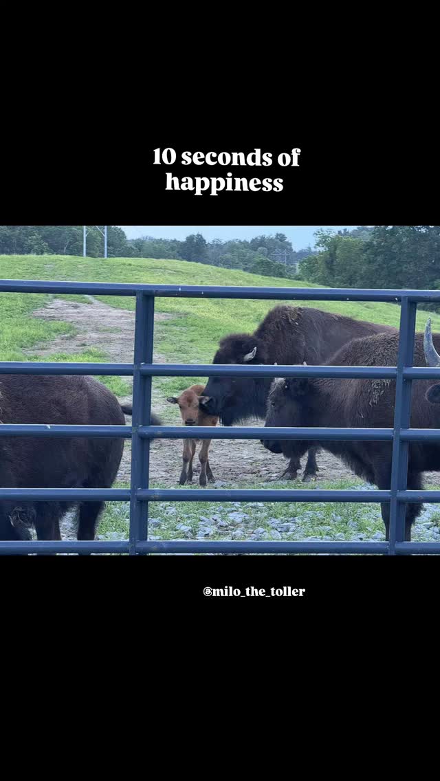 Buffalo Ridge Ranch | Winchester KY