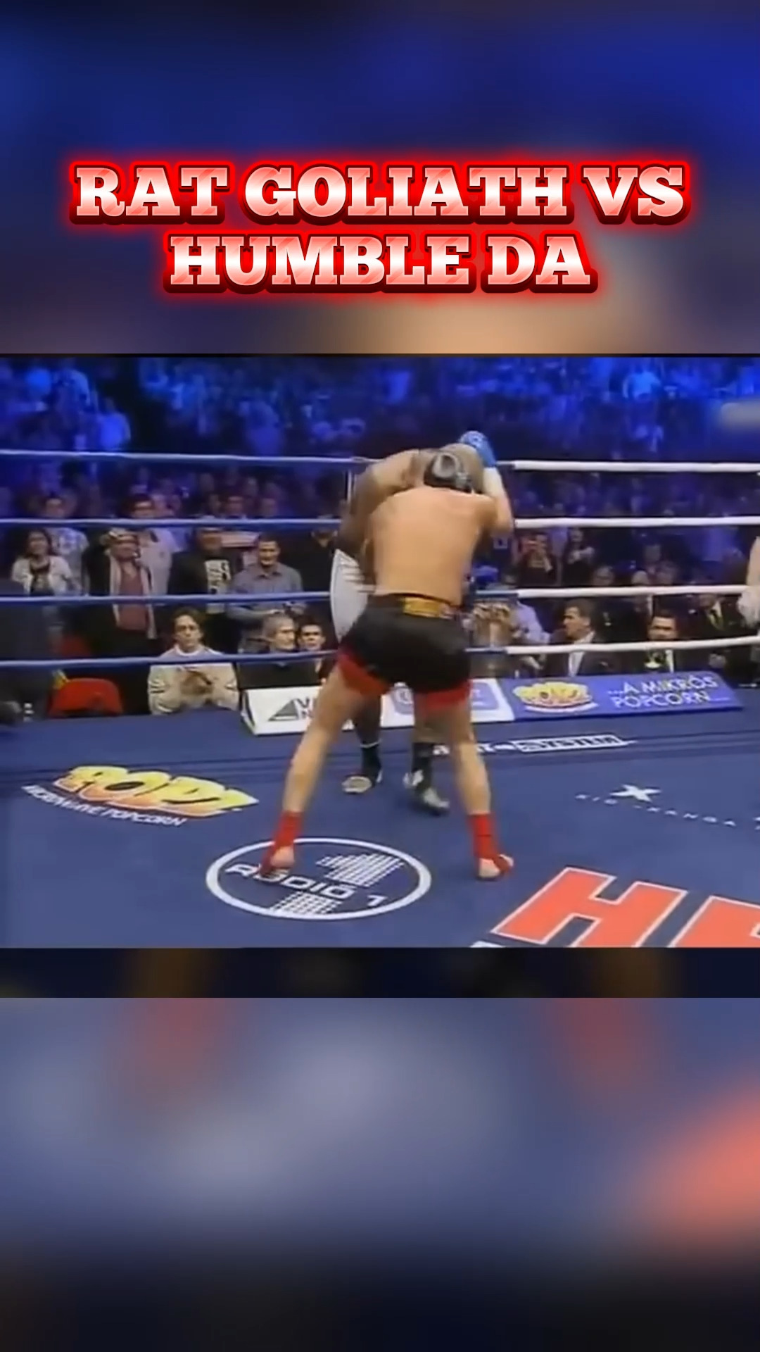 RAT GOLIATH VS HUMBLE DAVID #boxing #mma #ufc | Judge Best Fans | Facebook