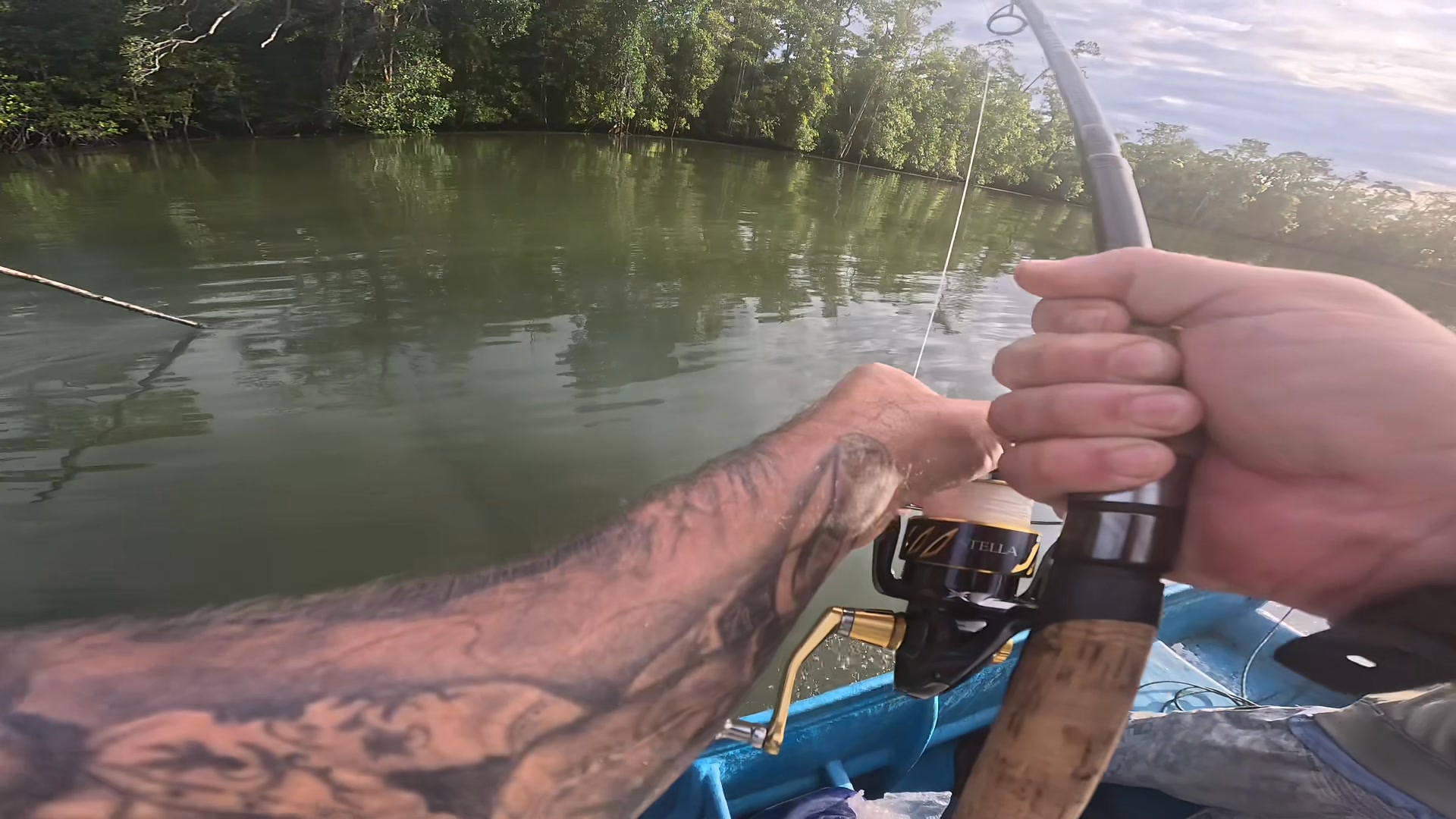#rockexpeditions Unwelcome river beast from an estuary mouth that ...