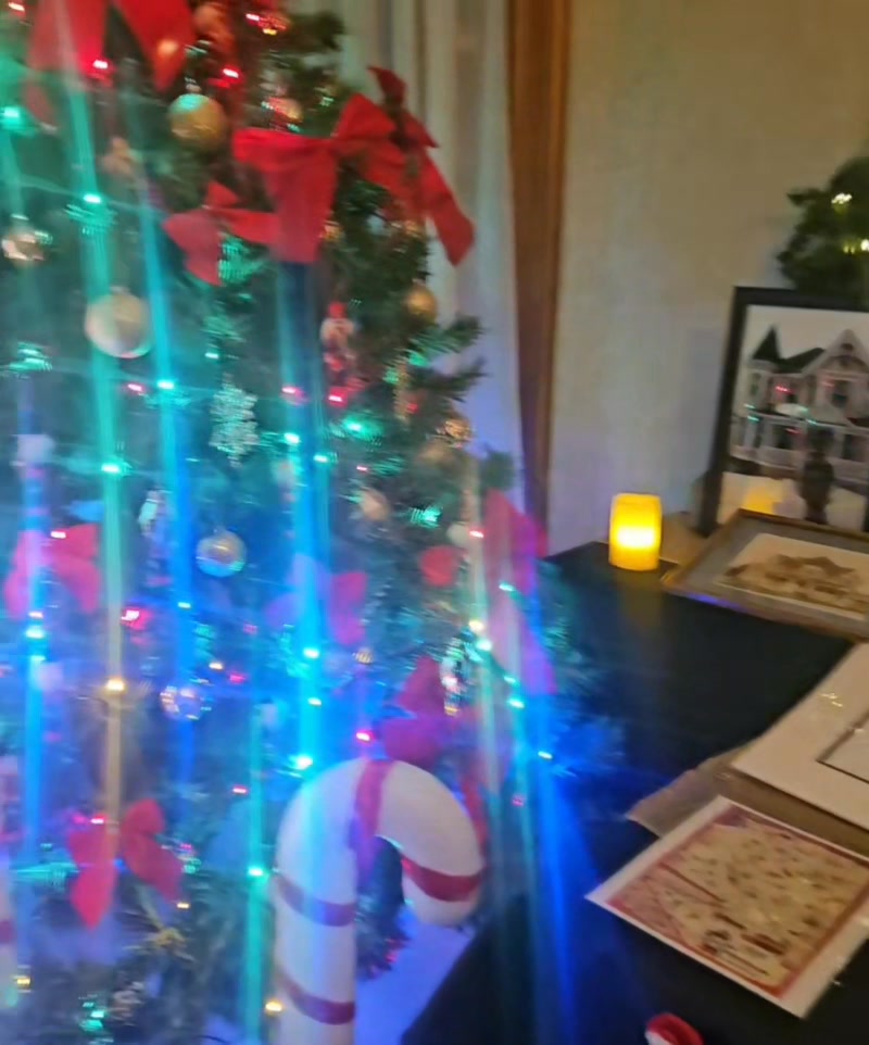 And that's a wrap! Today's Marathon County Historical Society Holiday ...