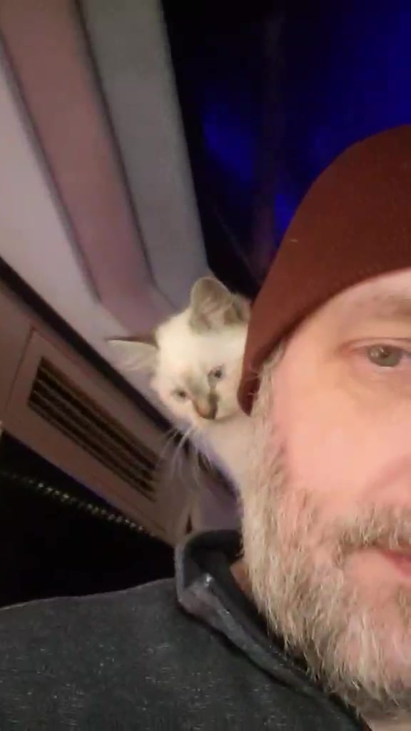 Oni the cat | Aaron S Rooker | Facebook