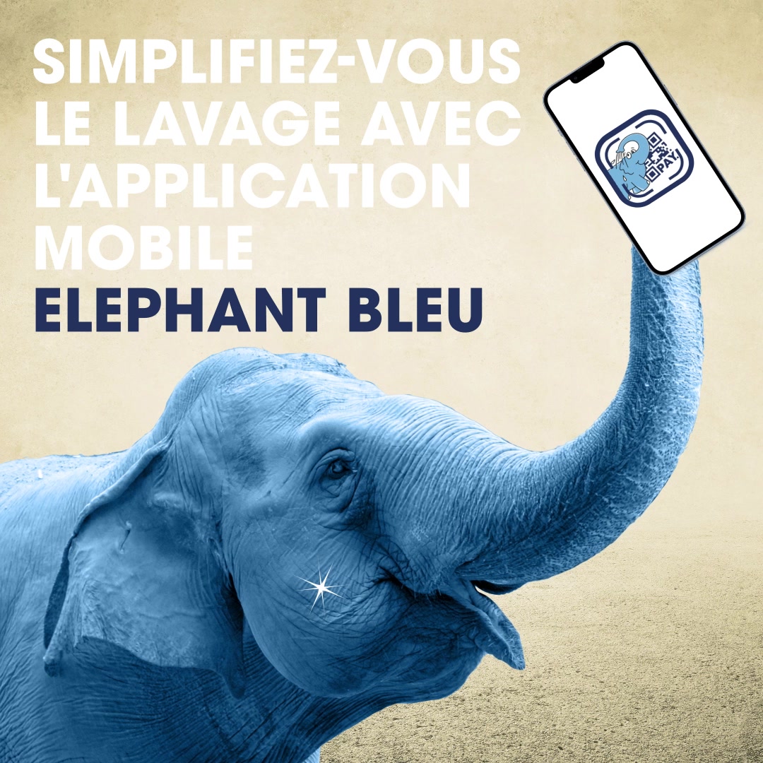 Combien De Temps Dure Un Jeton Eléphant Bleu