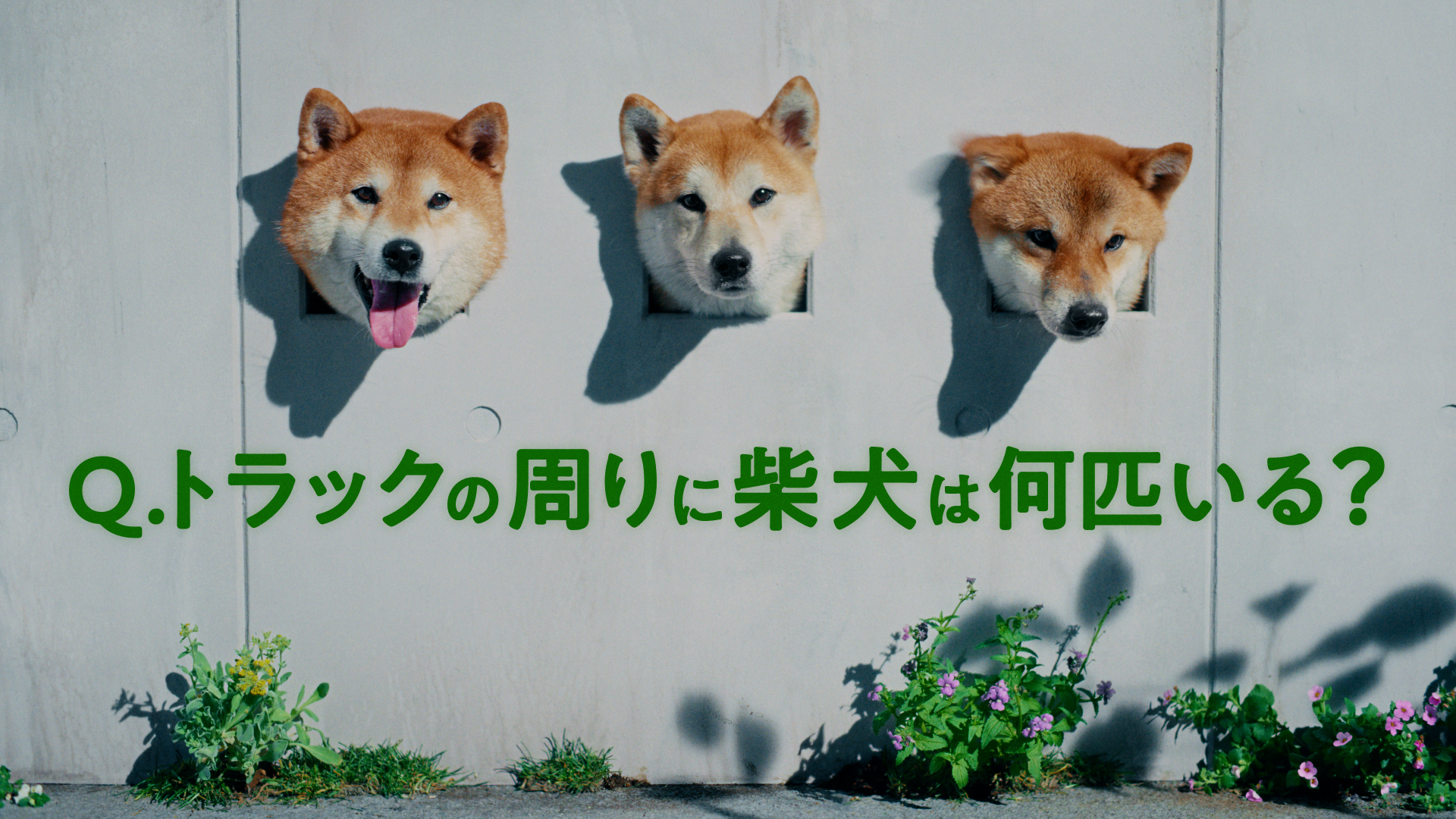 大事を見て