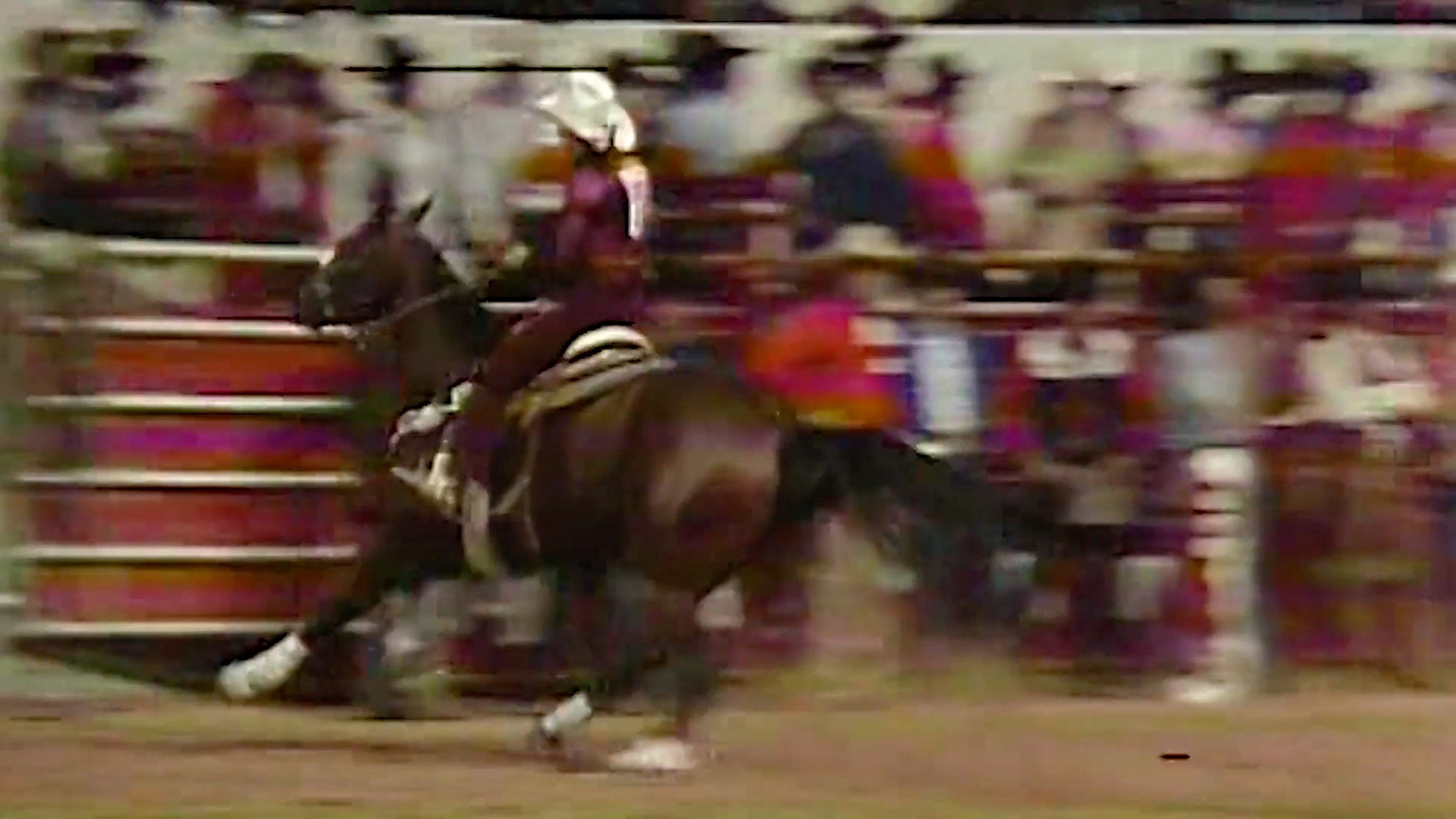 The next horse on our list is Sonny Bit O' Both. Sonny is one most are ...