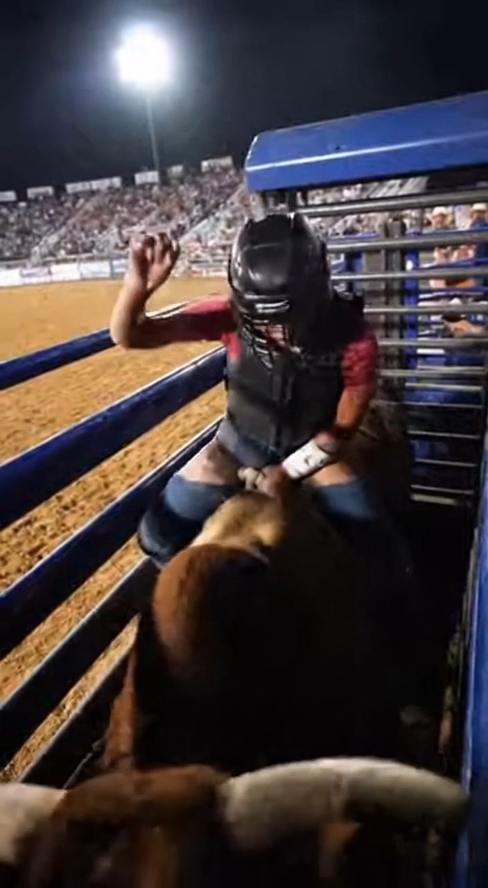 This fearless cowgirl faces the wild bull with courage and confidence ...