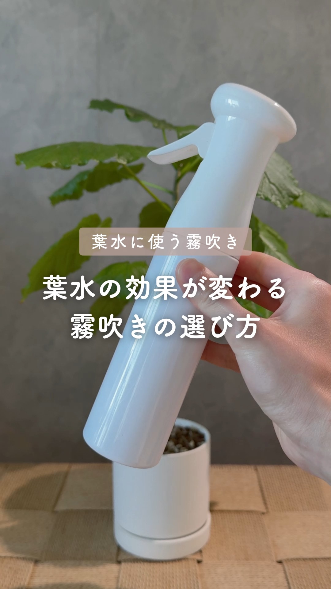 葉 水 霧吹き