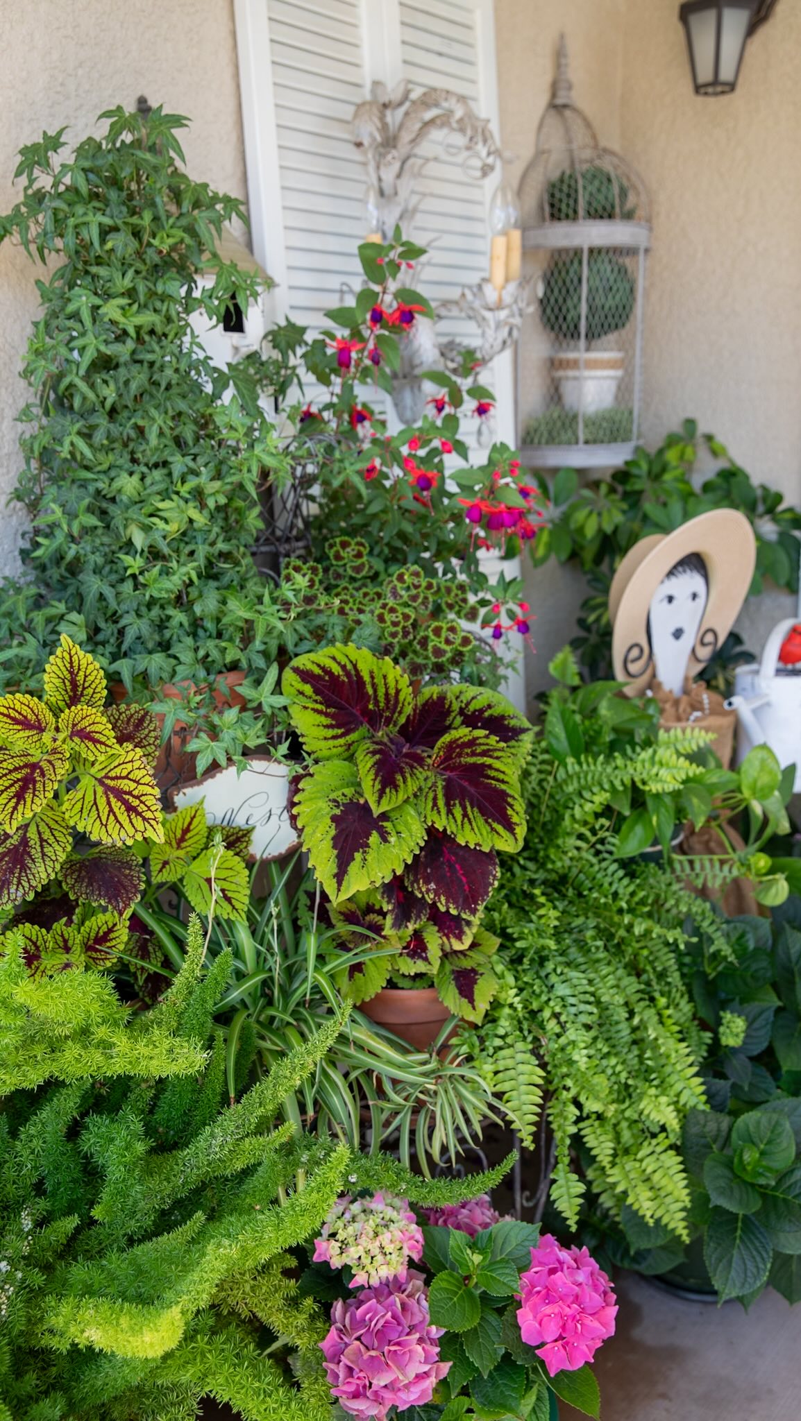 When we got a call from Susie saying her garden was in peak bloom