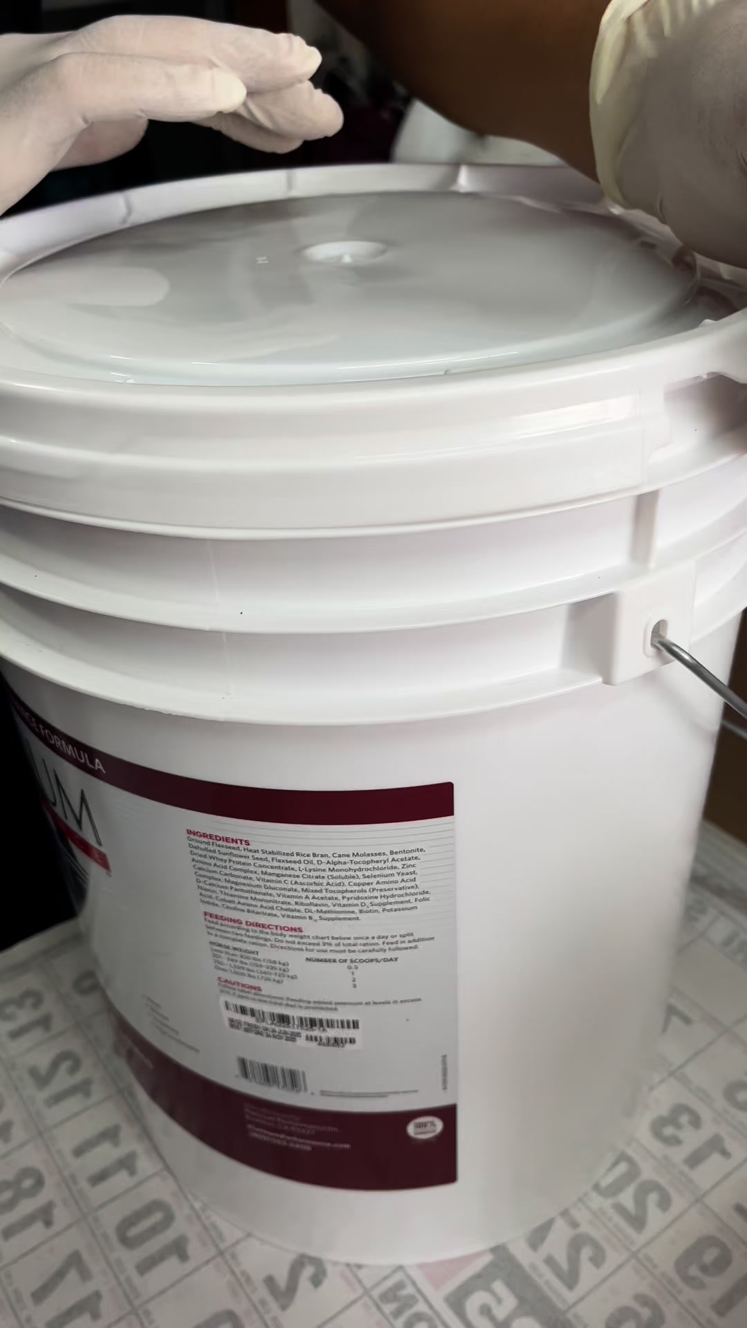 Vita Flex DMG 3000 - Performance Supplement for Oxygen Utilization and ...